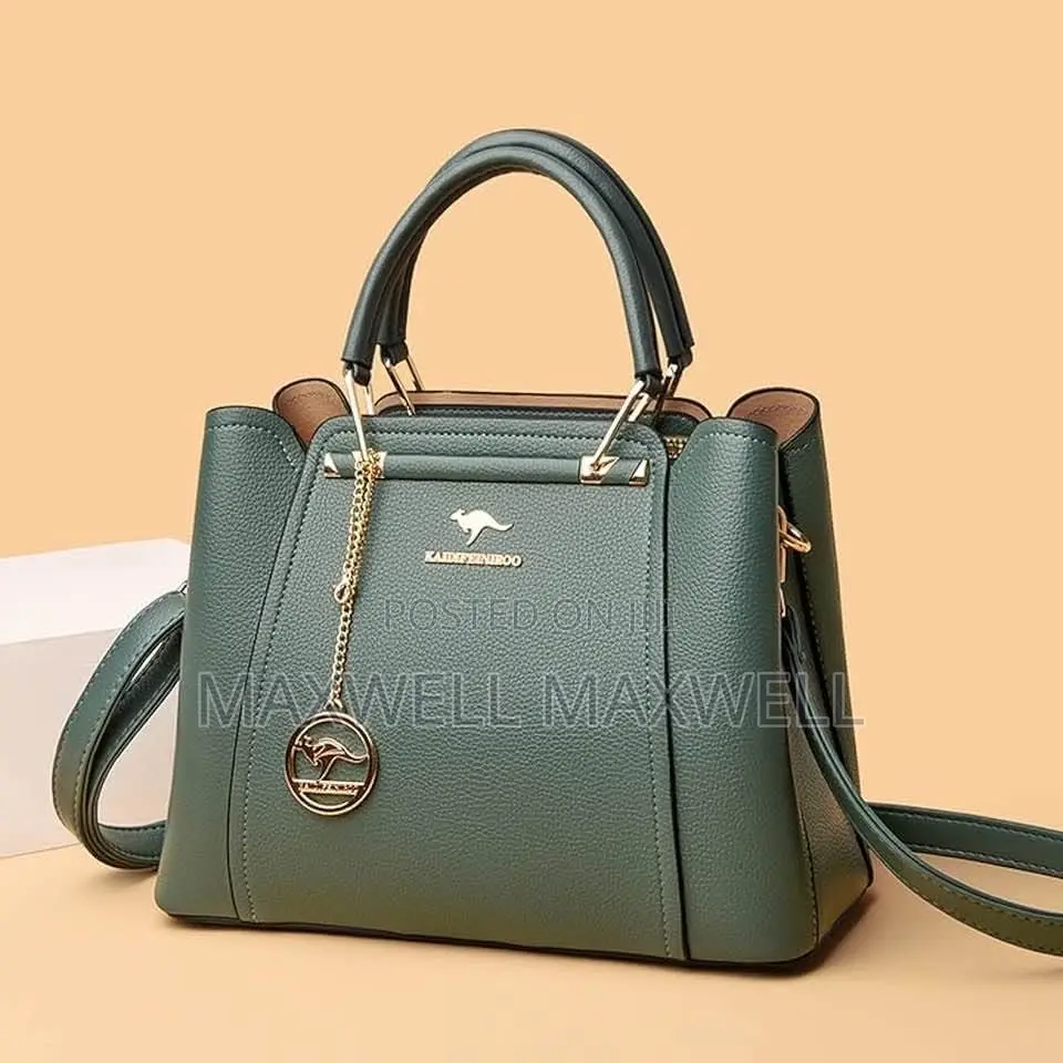 Classy Bag and Clutches