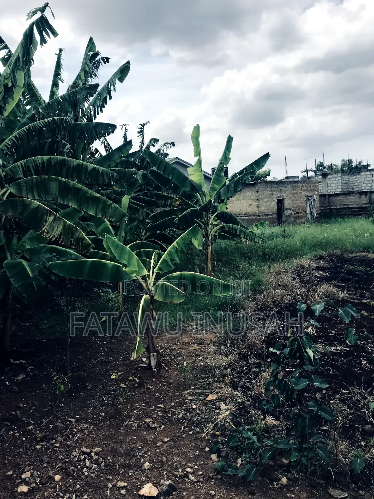 One Plot of Land for Sale at Ablekuma Canada