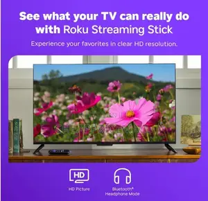 Roku Streaming Stick Hd