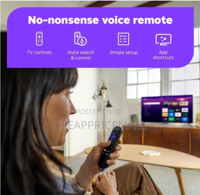 Roku Streaming Stick Hd