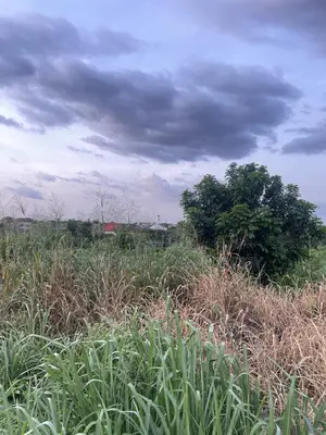 Adako Gyakye Land