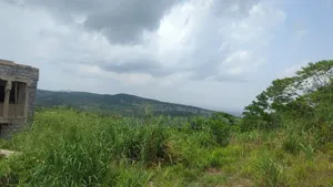 Registered Lands for Sale at Aburi