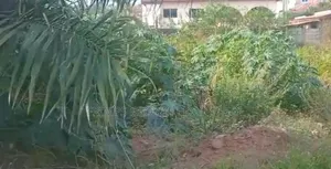 Main Roadside 5 Plots Near West Hills Mall for Sale
