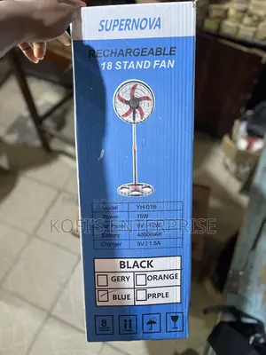 Rechargeable Standing Fan
