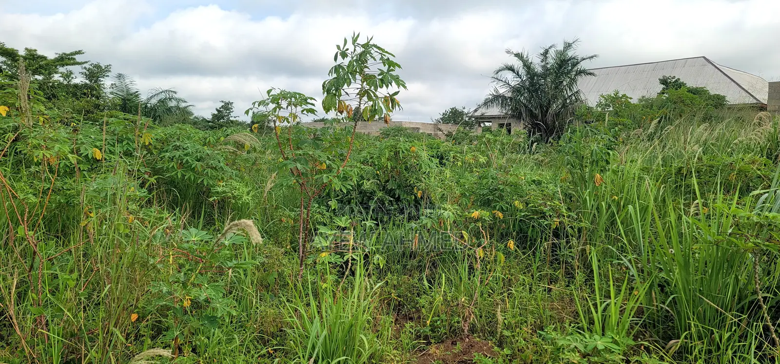 Full Plot for Sale Techiman