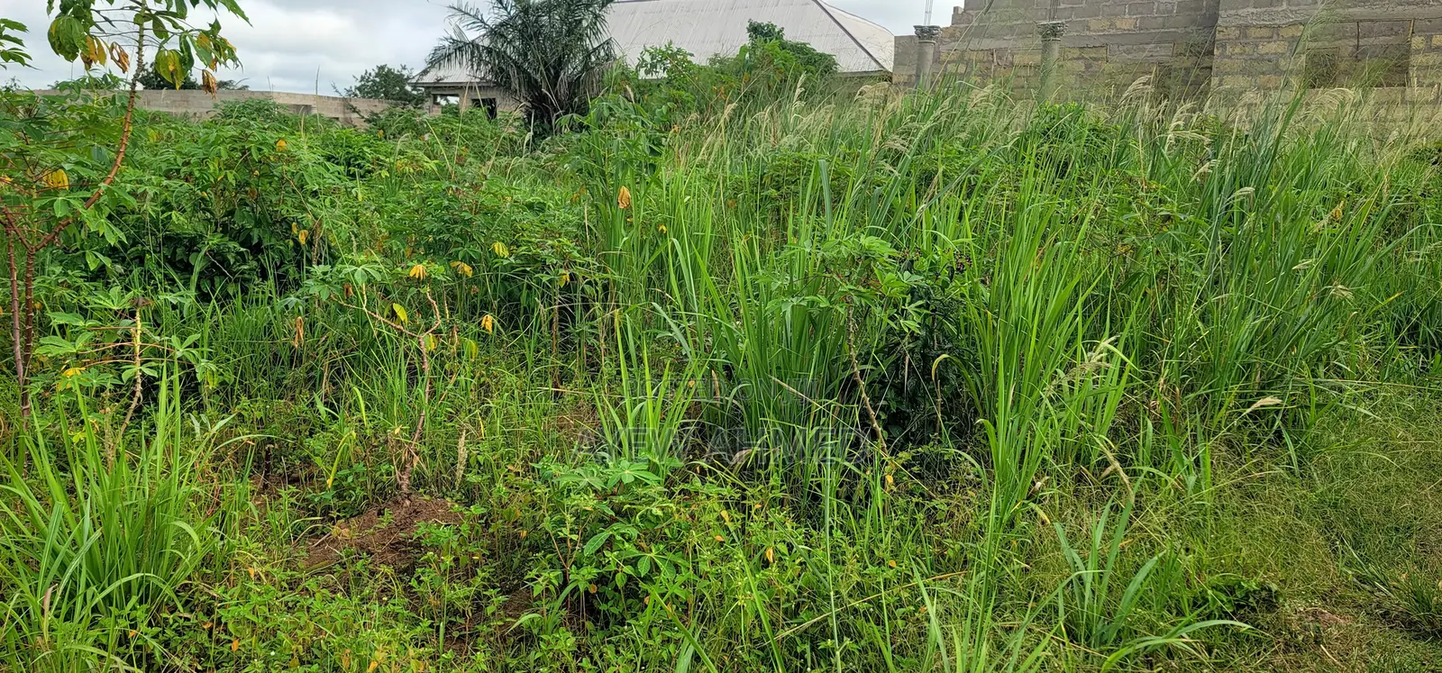 Full Plot for Sale Techiman