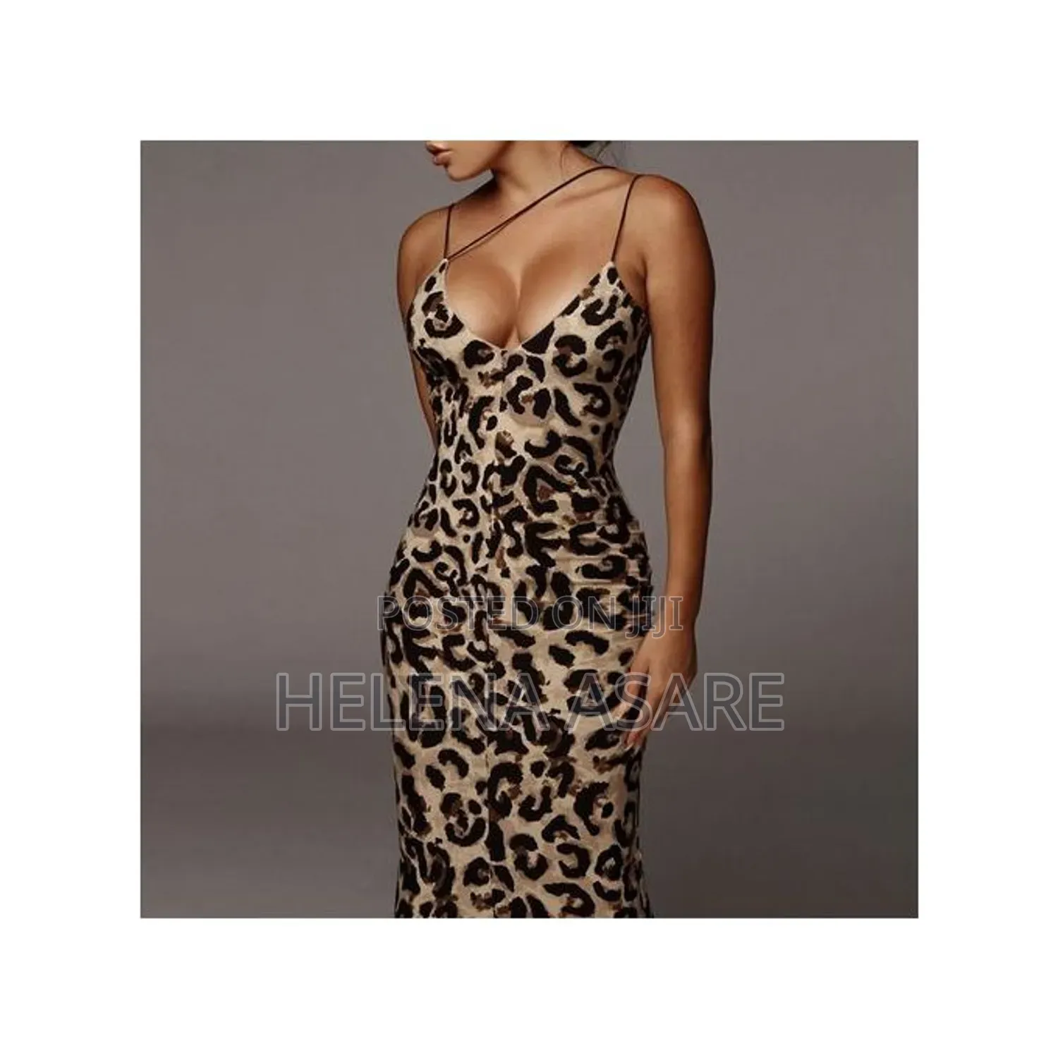 Women's Dress