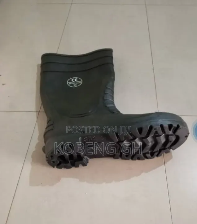 Rain Boot Or Wellington Boot