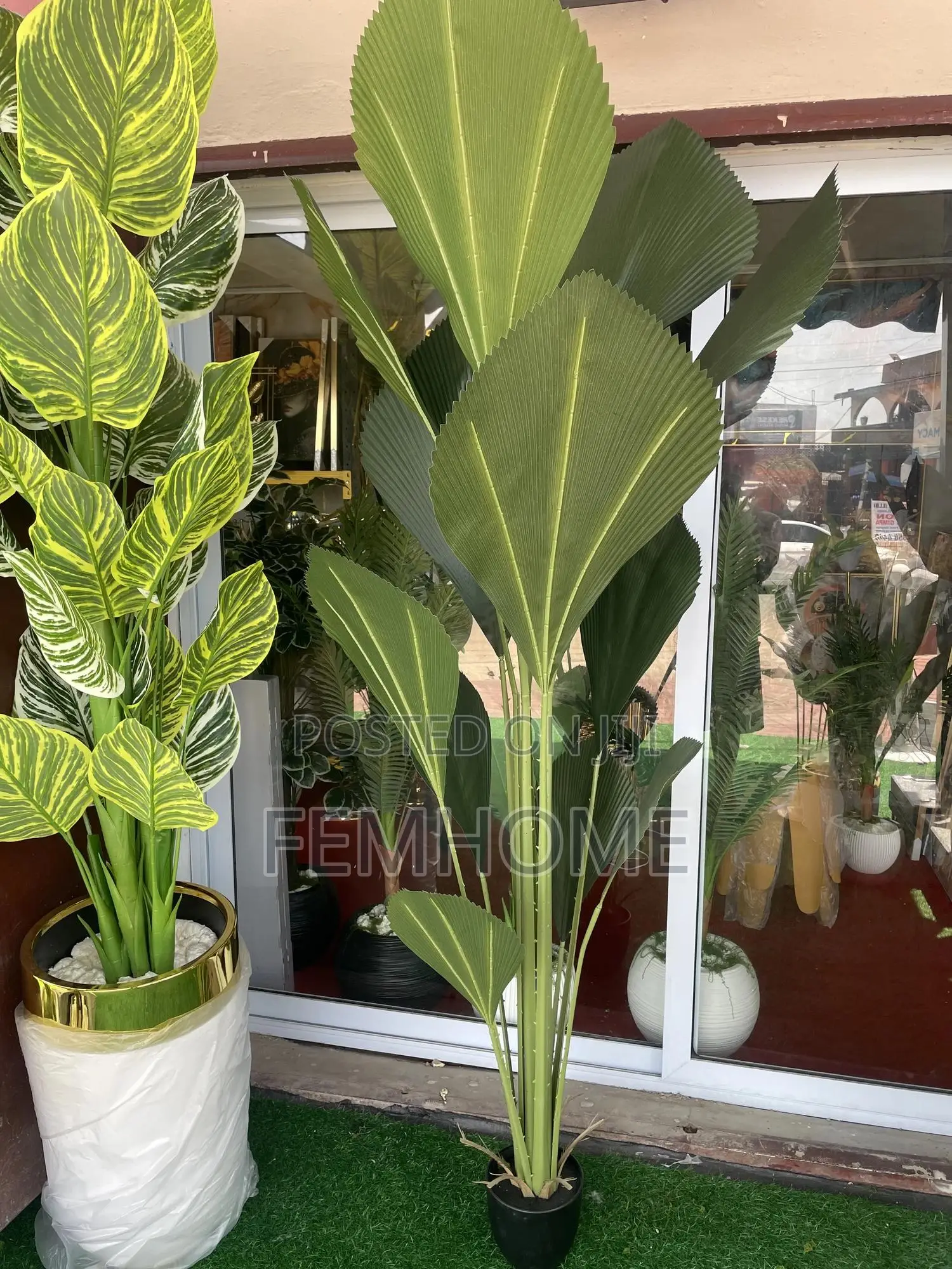 Home Decorations