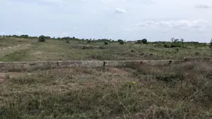 Investment Land For Sale At Afienya-mobole