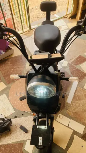 Electric Bike