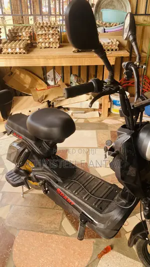 Electric Bike
