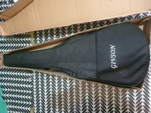 Givson Semi Acoustic