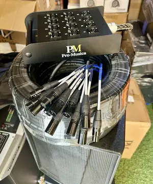 Pro—Musica 8 Channel Audiolink