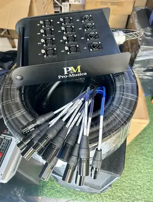Pro—Musica 8 Channel Audiolink