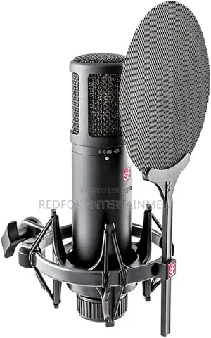 Se 2200a Professional Studio Microphone