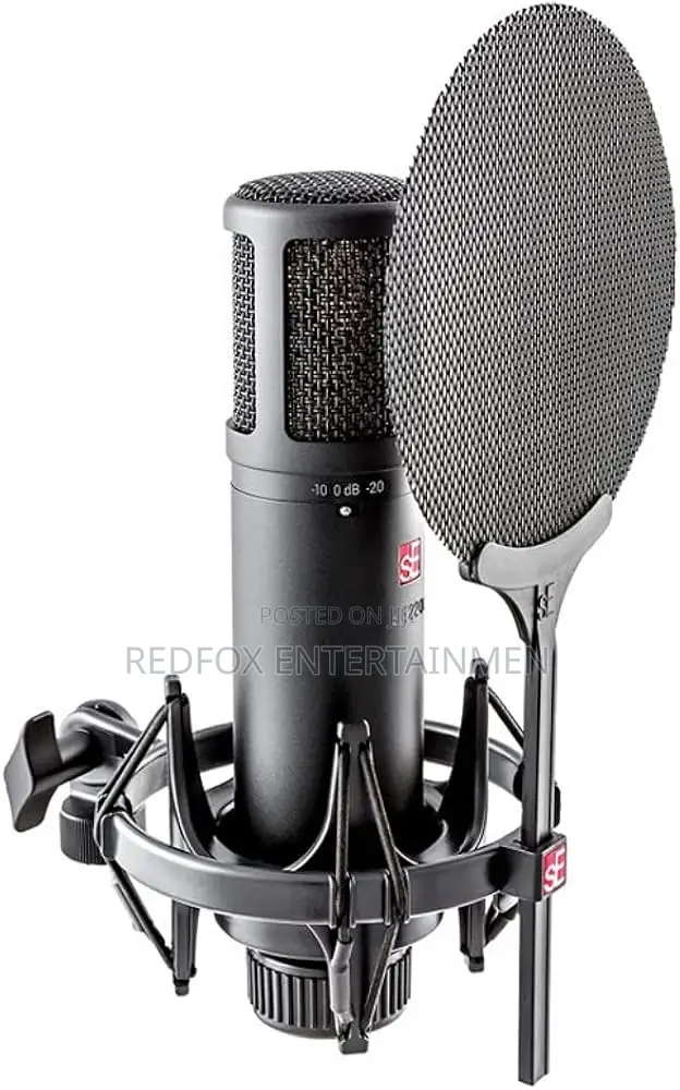 Se 2200a Professional Studio Microphone