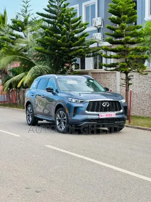 Infiniti QX60 PURE 2022 Gray