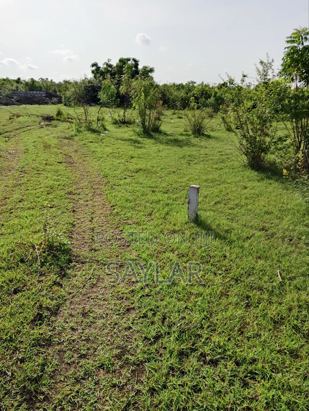 Over 400 Acres of Demarcated Lands Afienya Main Road Side for Sale