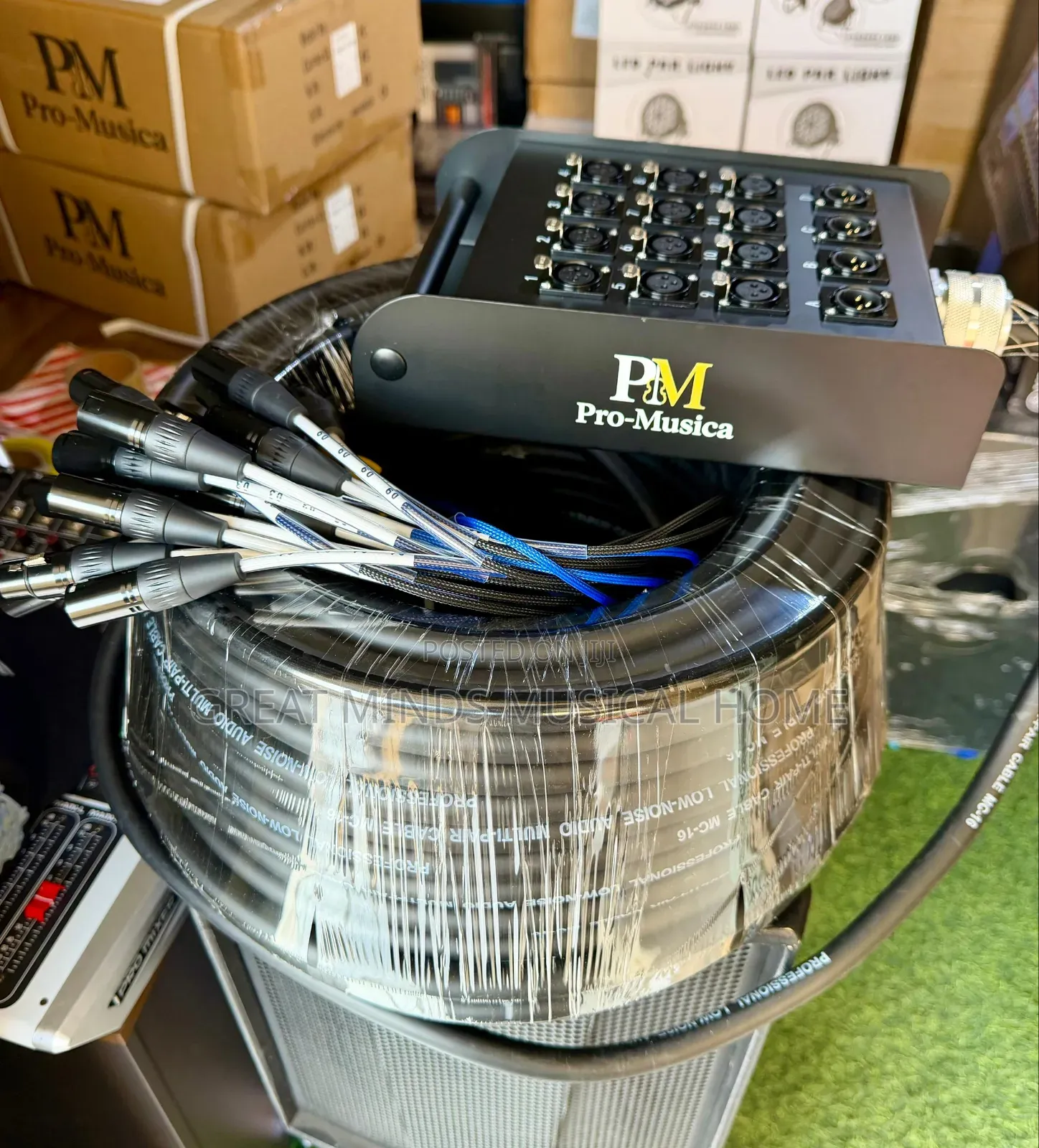 Pro Musica 12 Channels Audio Link