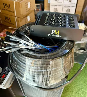 Pro Musica 12 Channels Audio Link