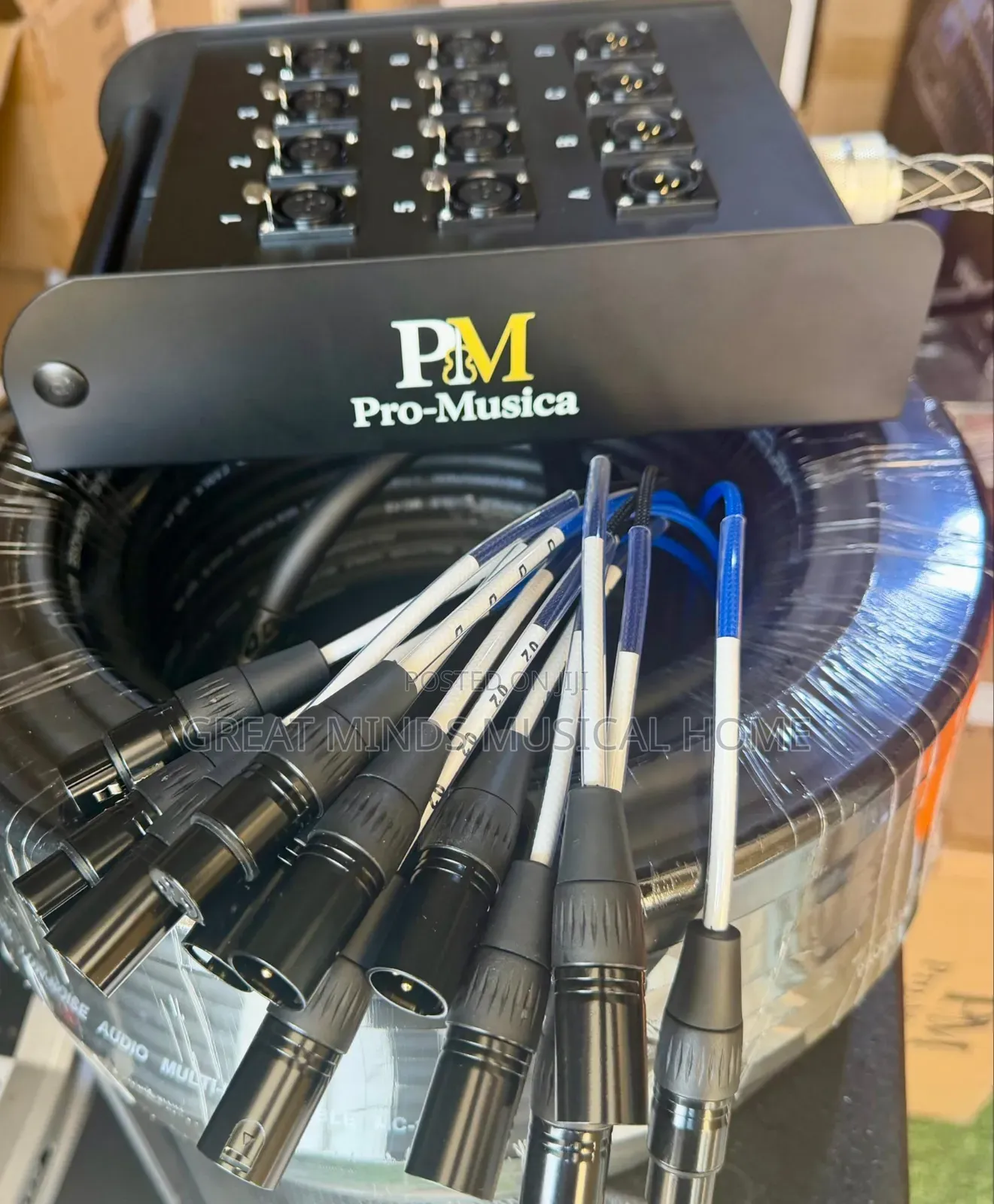 Pro Musica 8 Channels Audio Link