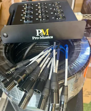 Pro Musica 8 Channels Audio Link