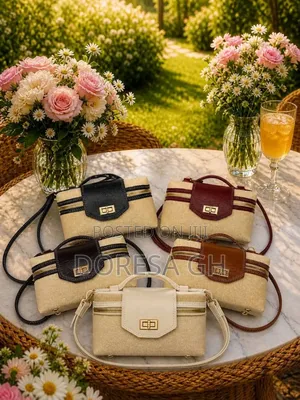 Classy Stylish Ladies’ Bag Sourcing for Individuals Groups | Accra