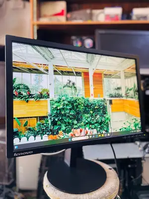 Lenovo 22 Inch Ips Monitor