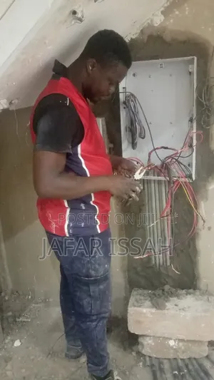 Professional Electrical Engineering
