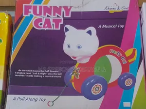 Pull Along Toy Funny Cat
