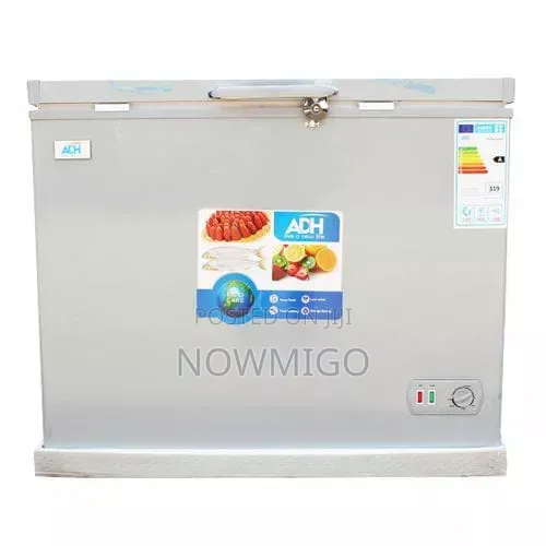 Chest Freezer 250litres_deep Freezer