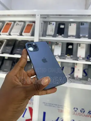 Apple iPhone 12 Pro Max 256 GB Blue