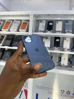 Apple iPhone 12 Pro Max 256 GB Blue