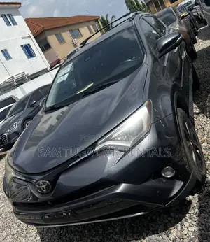 Toyota RAV4 2017 Gray