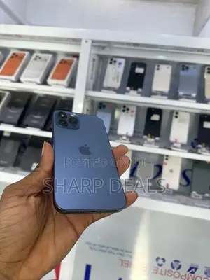 Apple iPhone 12 Pro Max 256 GB Blue