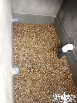 Water Treatment Issues