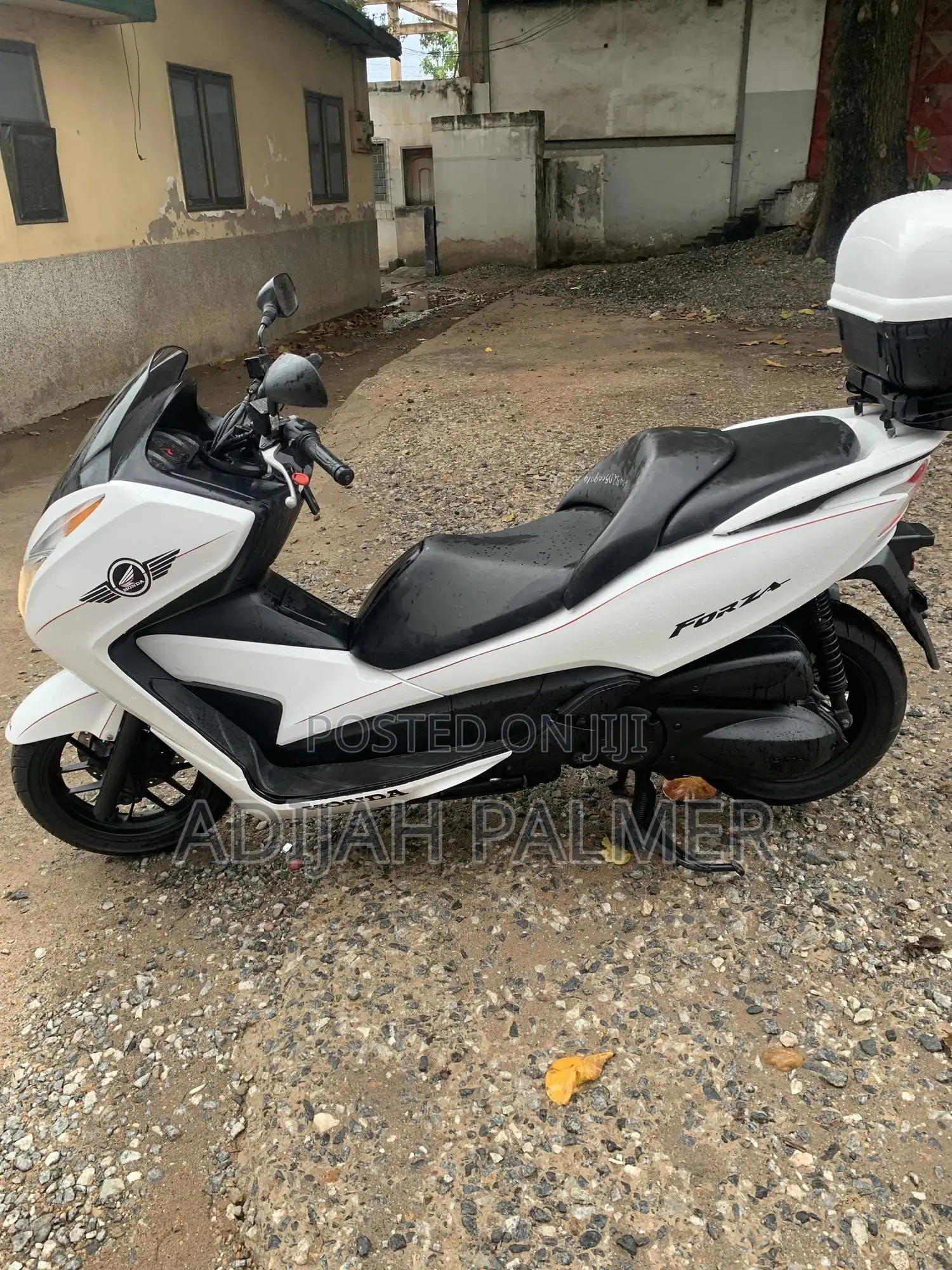 Honda Forza 2025 White