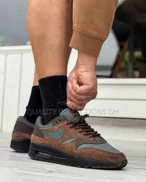 Airmax 1 Beef and Broccoli