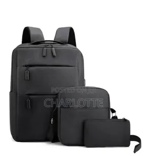 3 in 1 Multi Functional School and Business Backpack With Usb Slot.