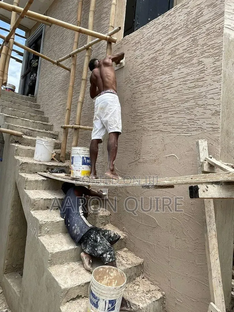 Professional Painter