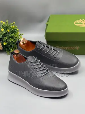 Timberland Casual Leather Sneakers (Grey)