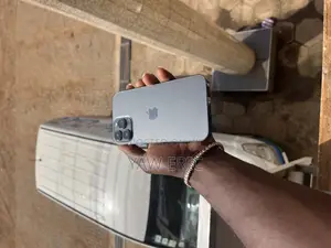 Apple iPhone 13 Pro Max 128 GB Gray