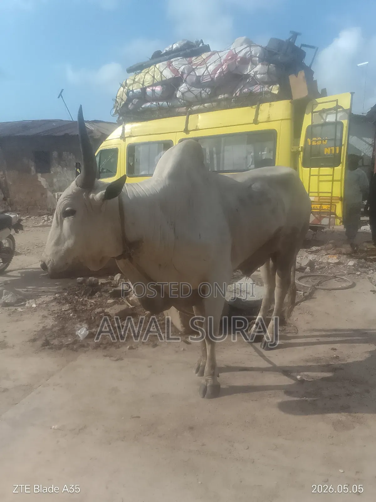 Livestock And Butchery
