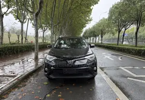 Toyota RAV4 2018 Black