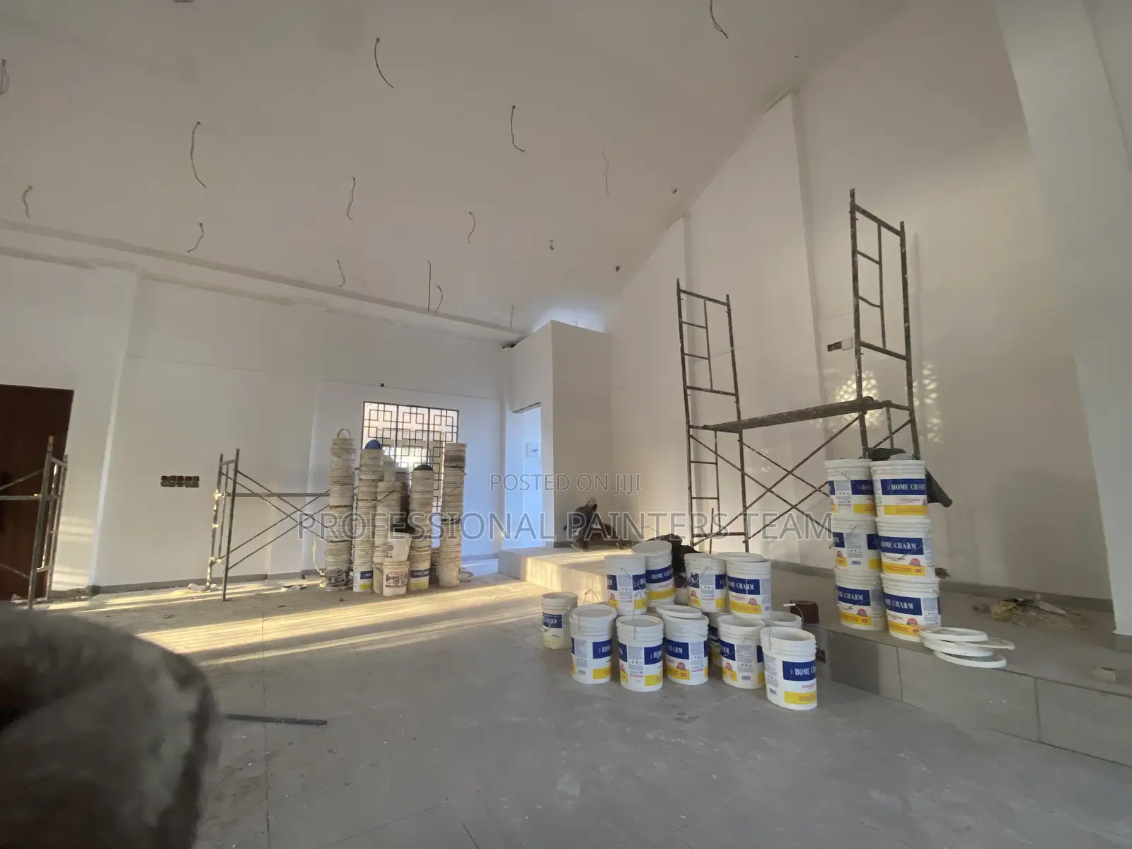 Professional Painter