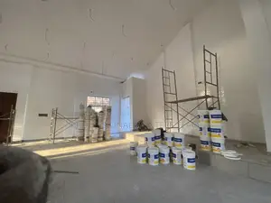 Professional Painter