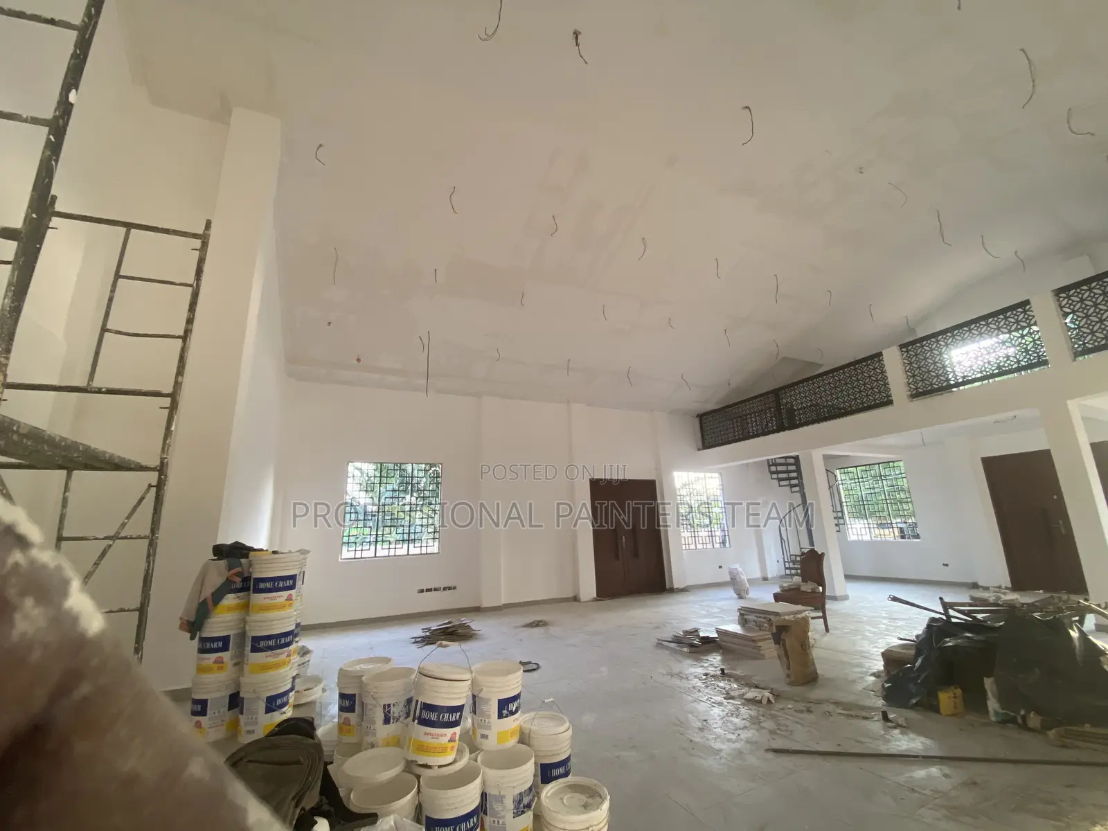 Professional Painter