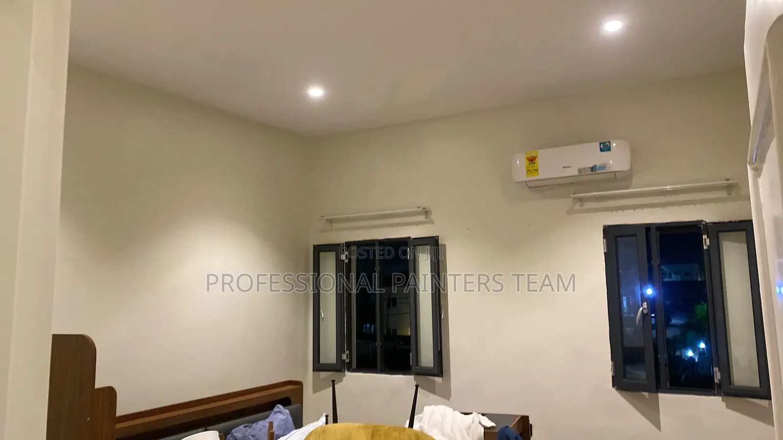Professional Painter