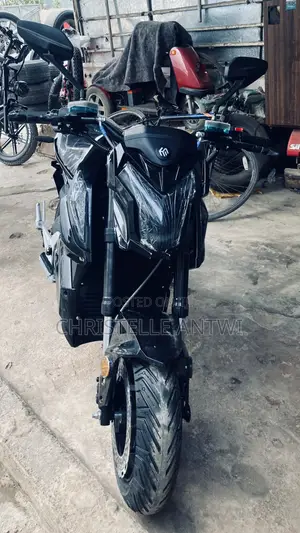 Electric Bike